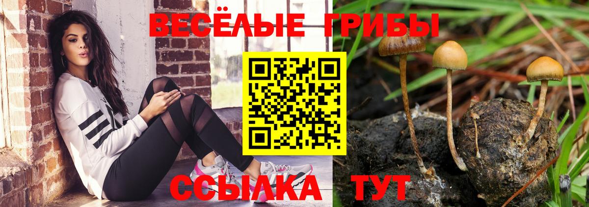 Псилоцибиновые грибы Magic Shrooms  Галлюциногенные грибы мухоморы  Вход с VPN  Сатка 