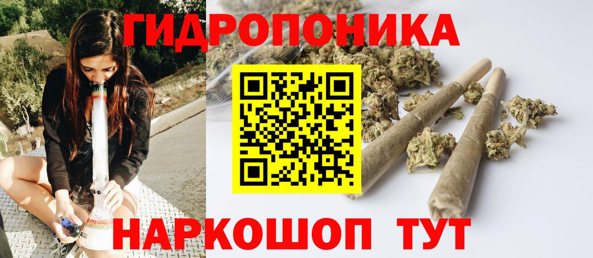 Бошки Шишки OG Kush Сатка